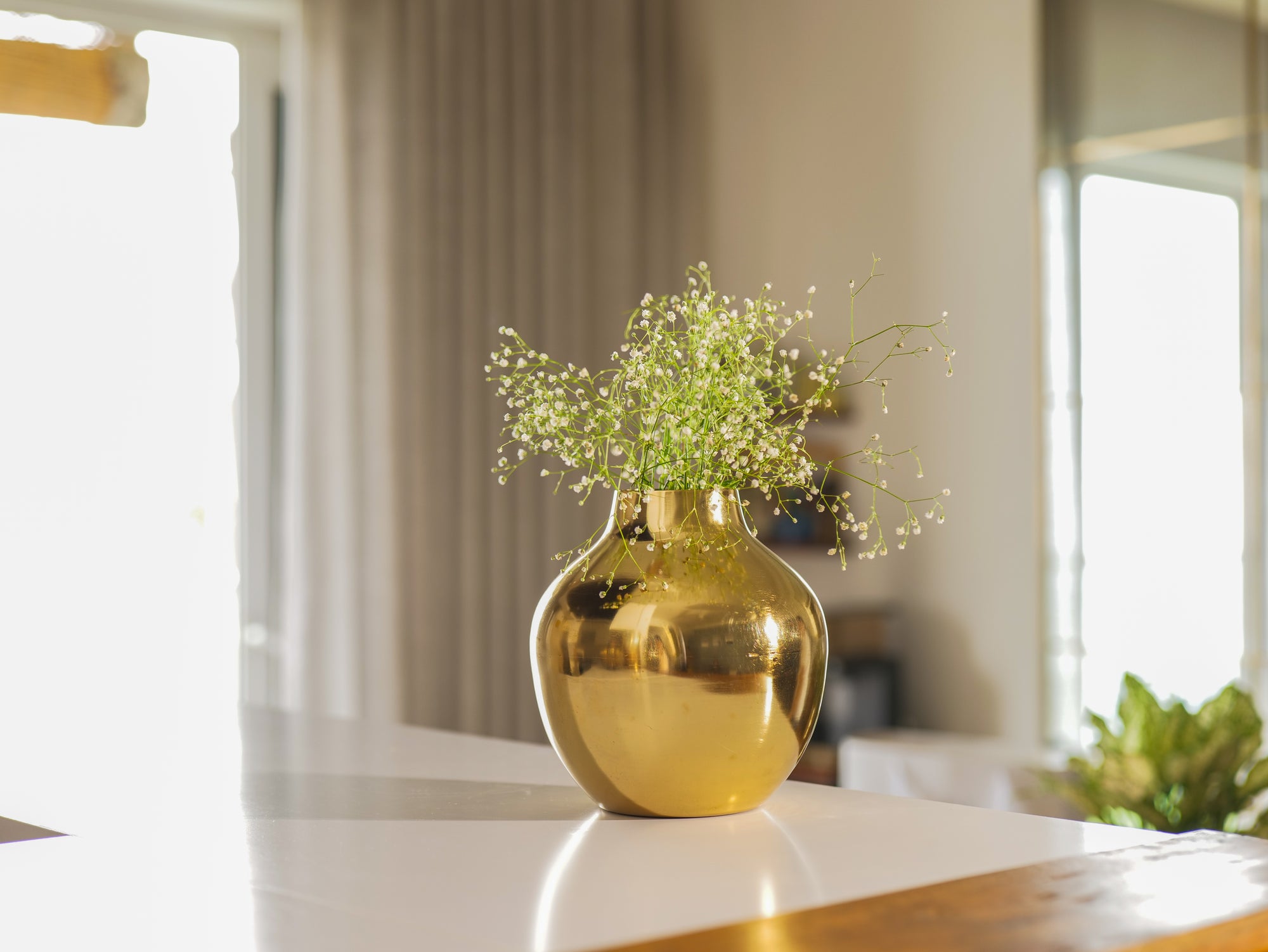 Orb Planter