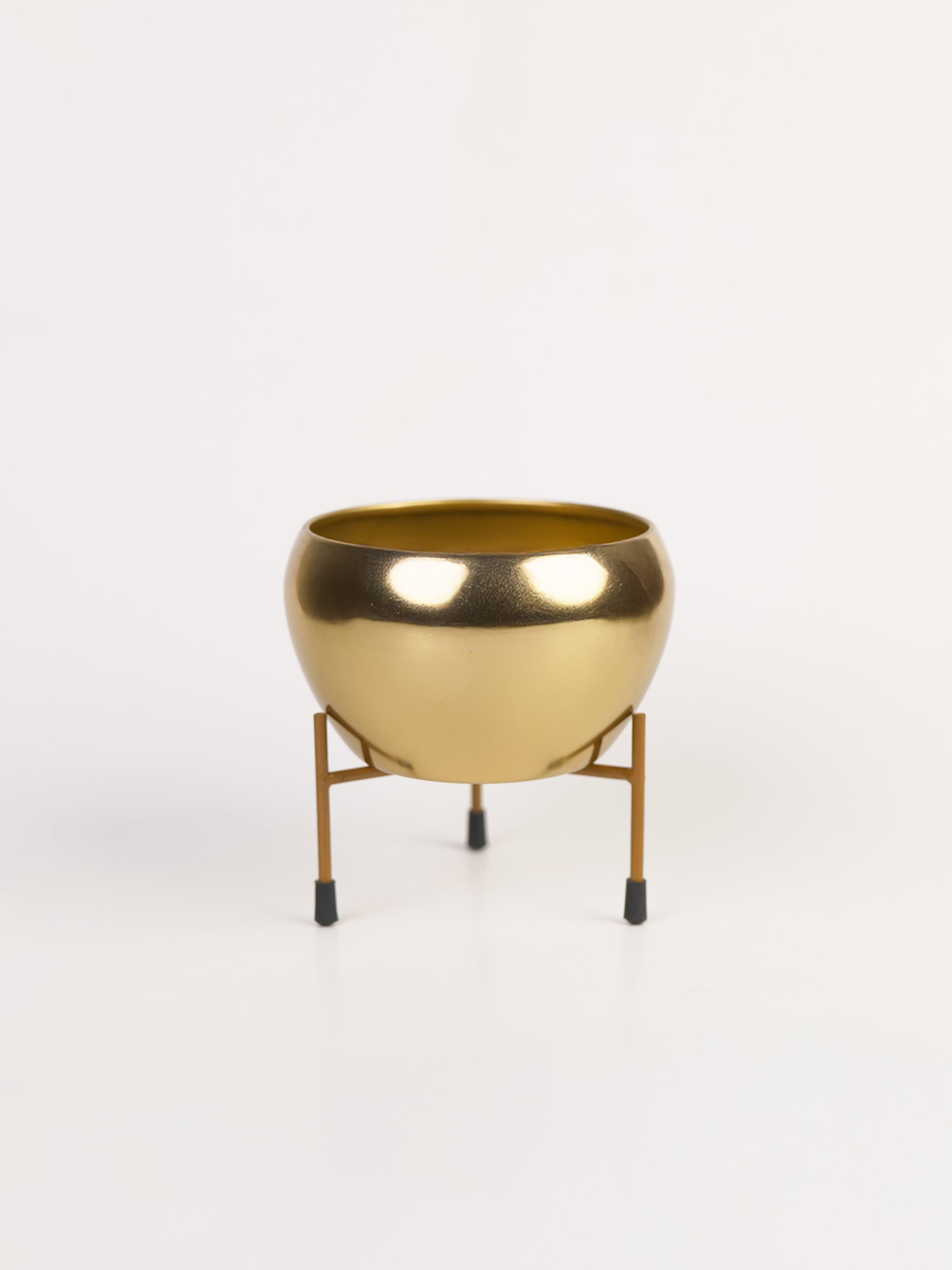 Bloom Vase