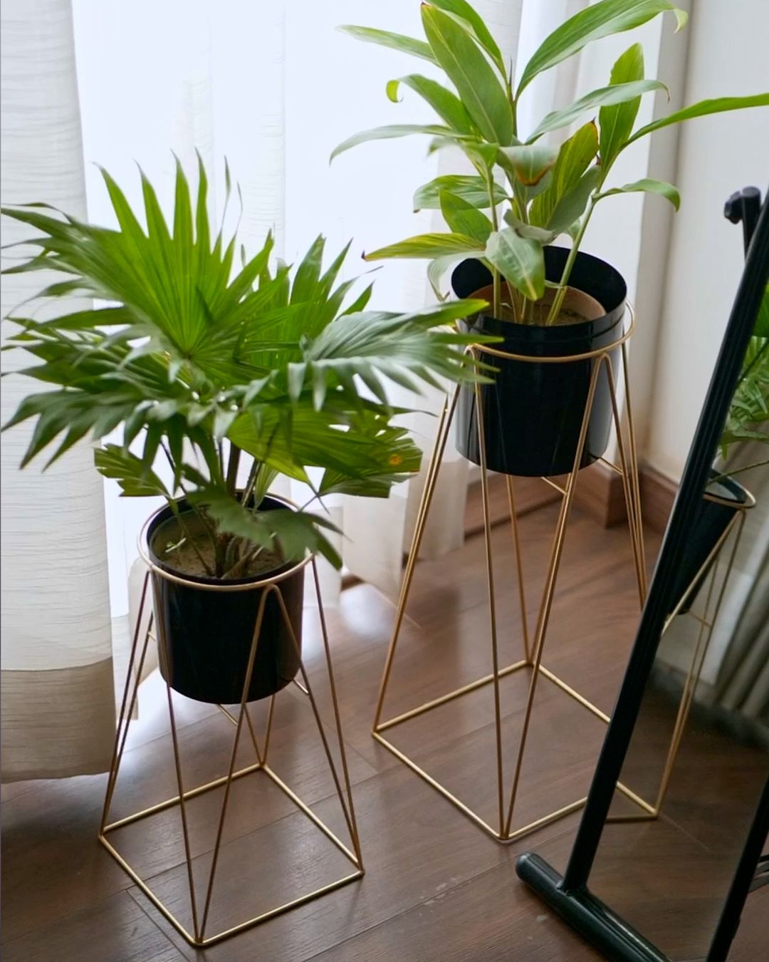 Twin Planters