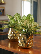 Curve Vase
