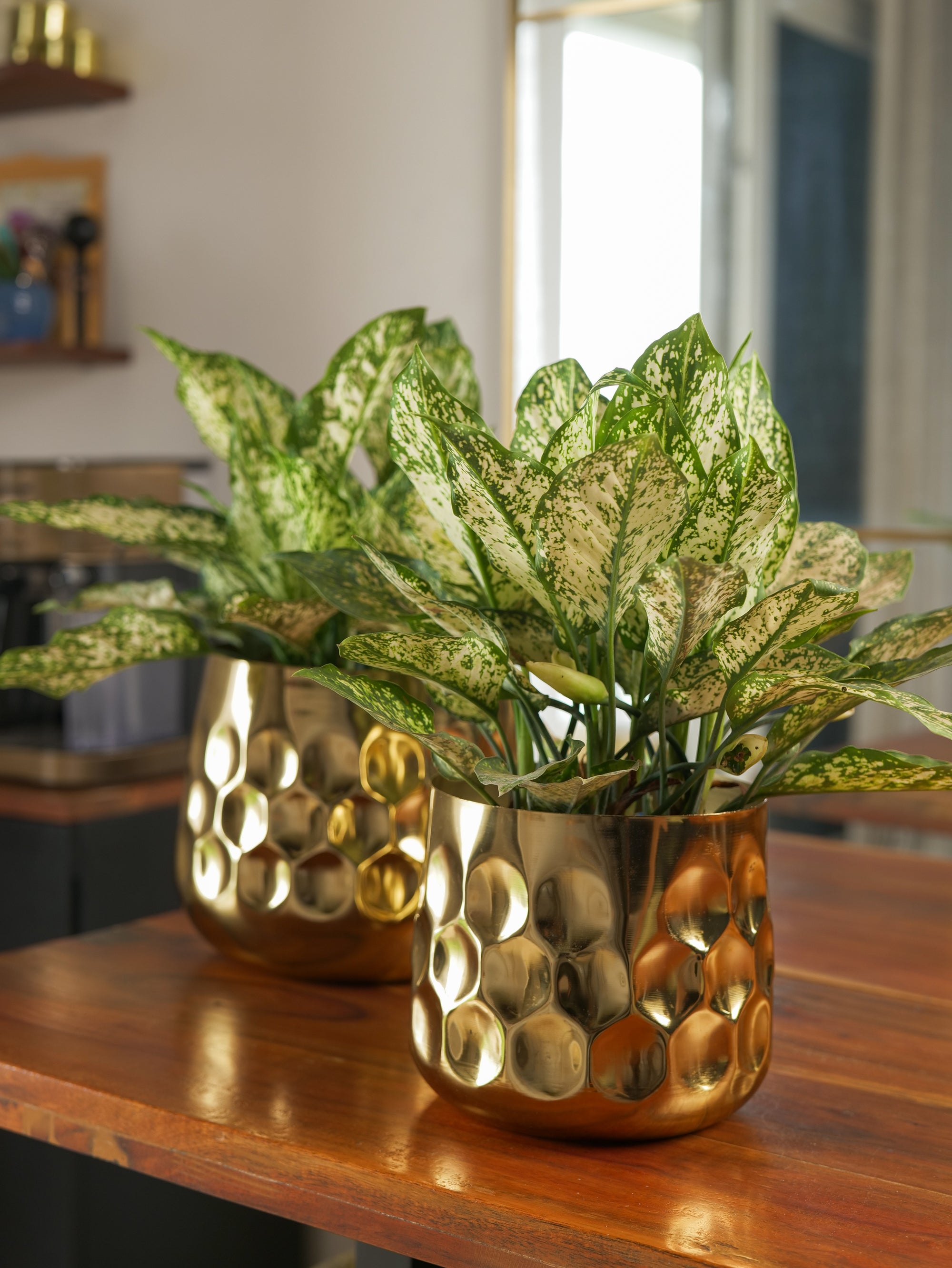 Curve Vase