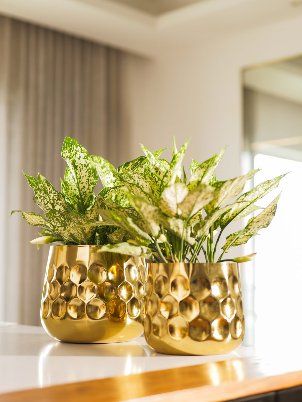 Curve Vase