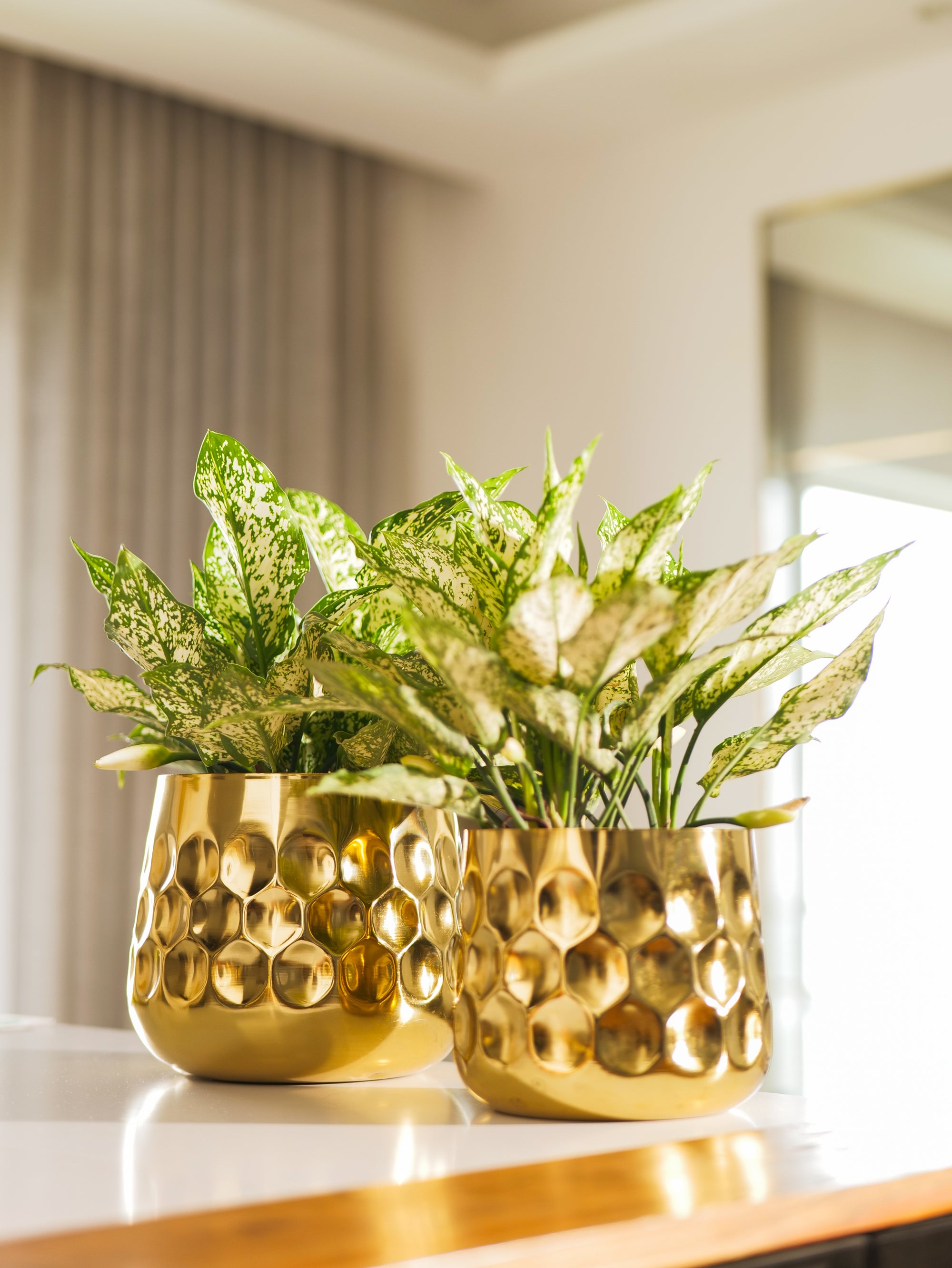 Curve Vase