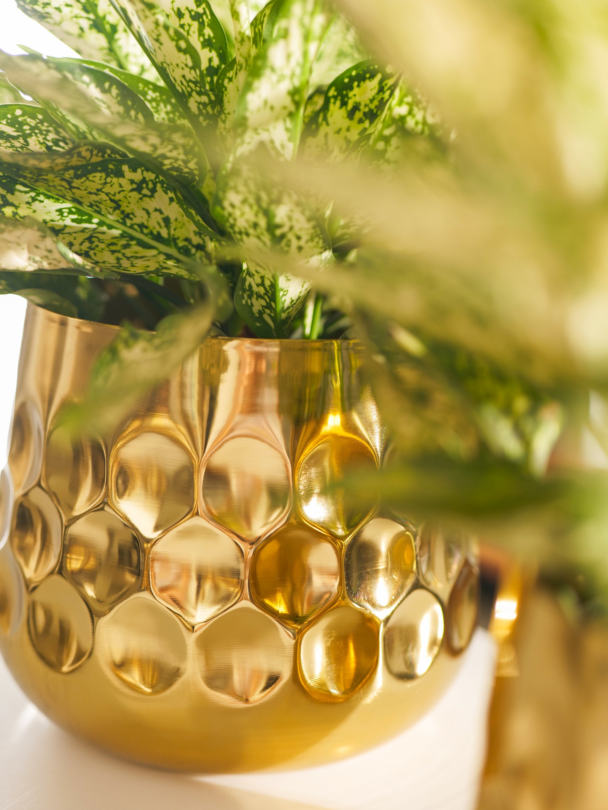 Curve Vase