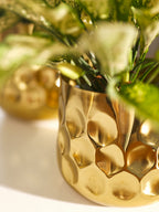 Curve Vase