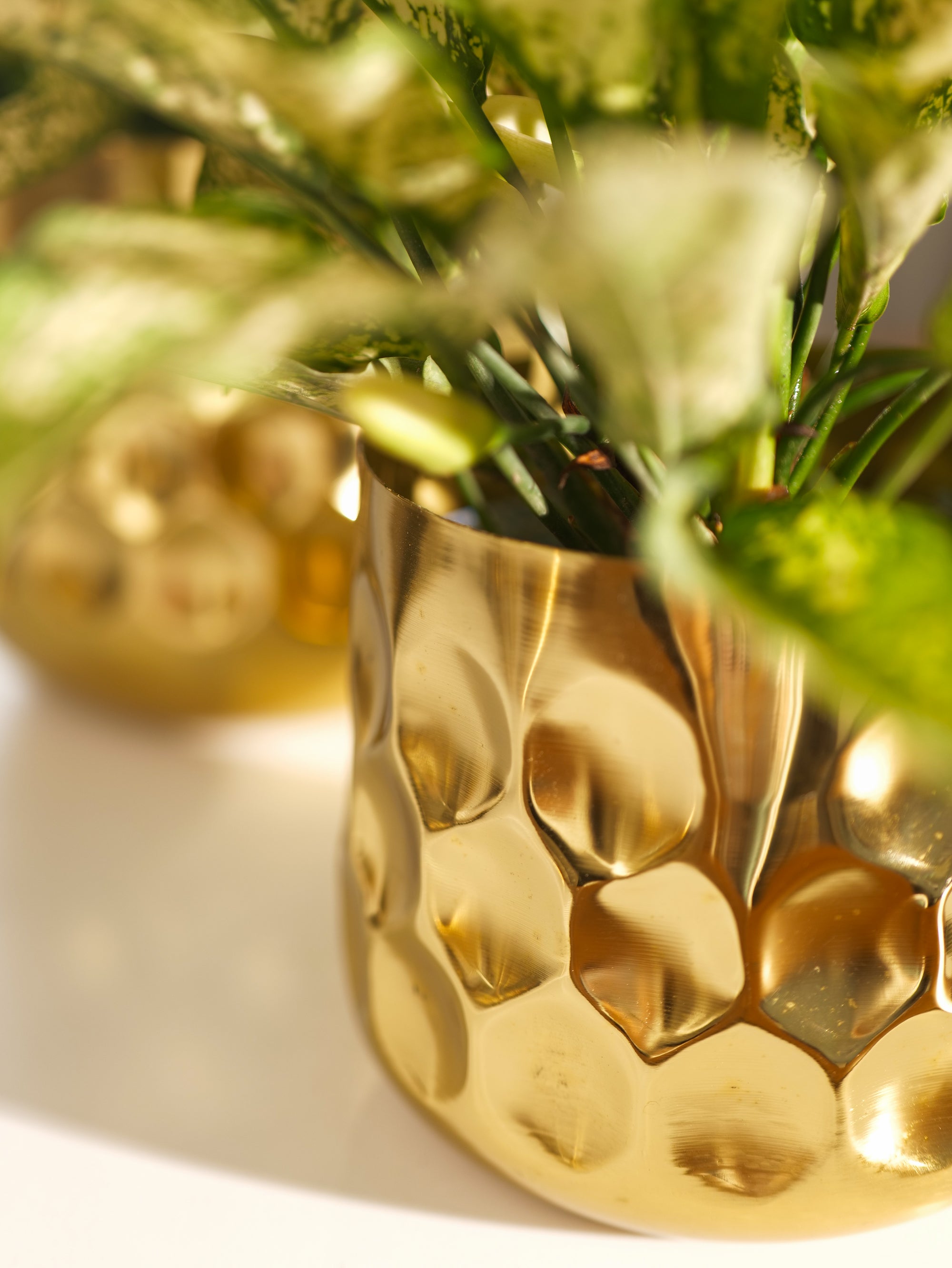 Curve Vase