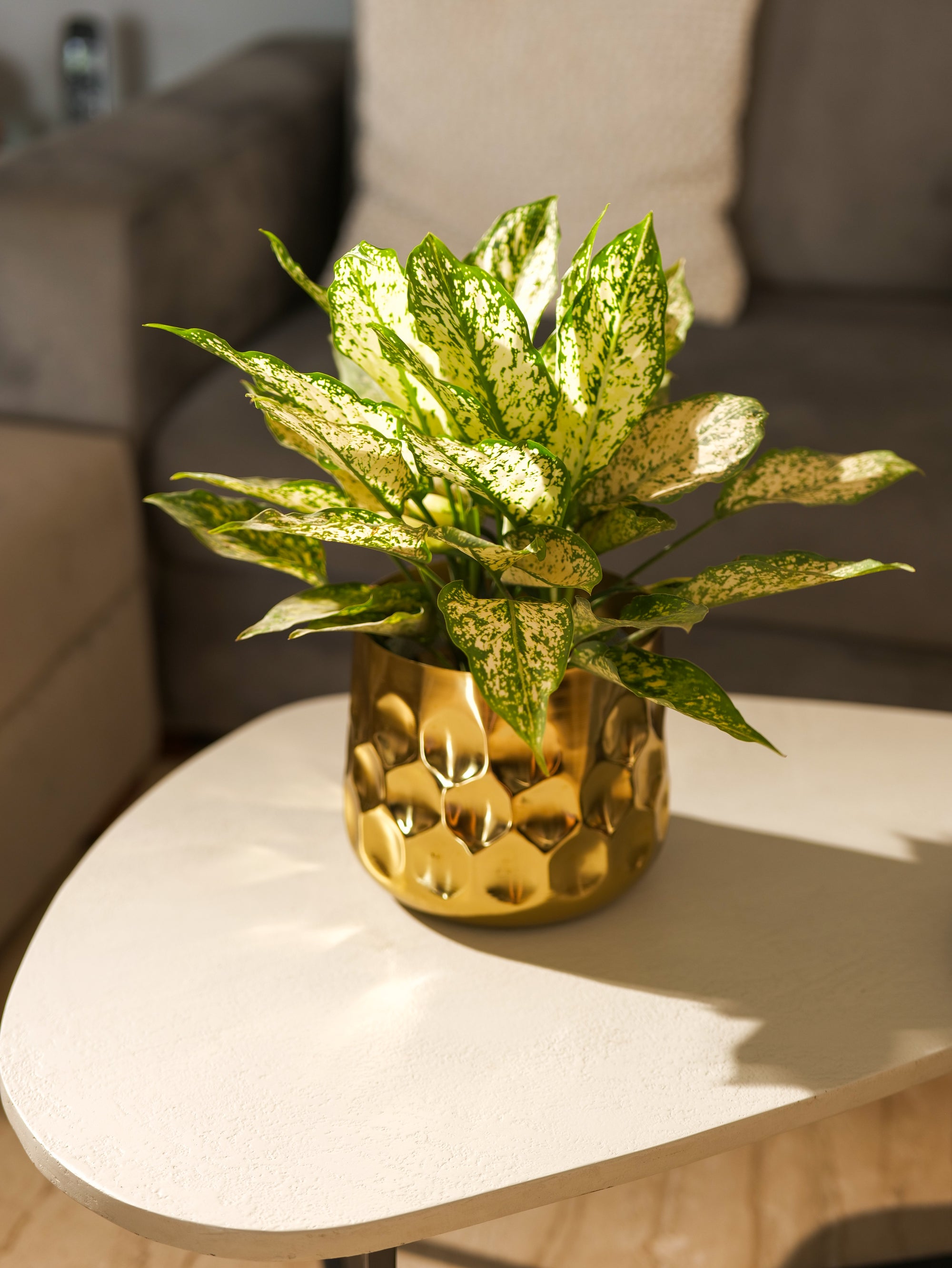 Curve Vase