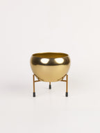 Bloom Vase