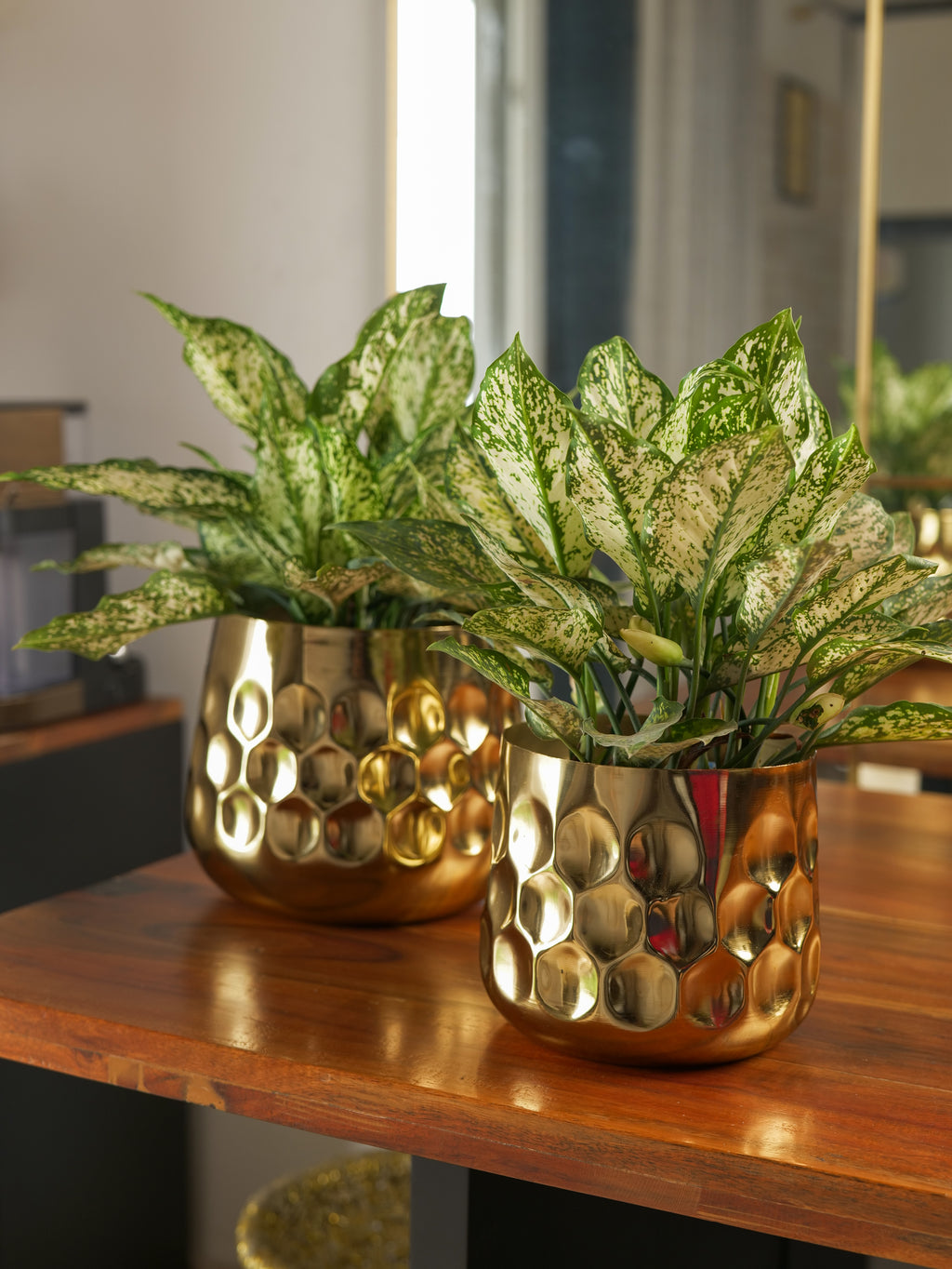 Curve Vase