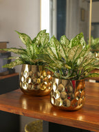 Curve Vase