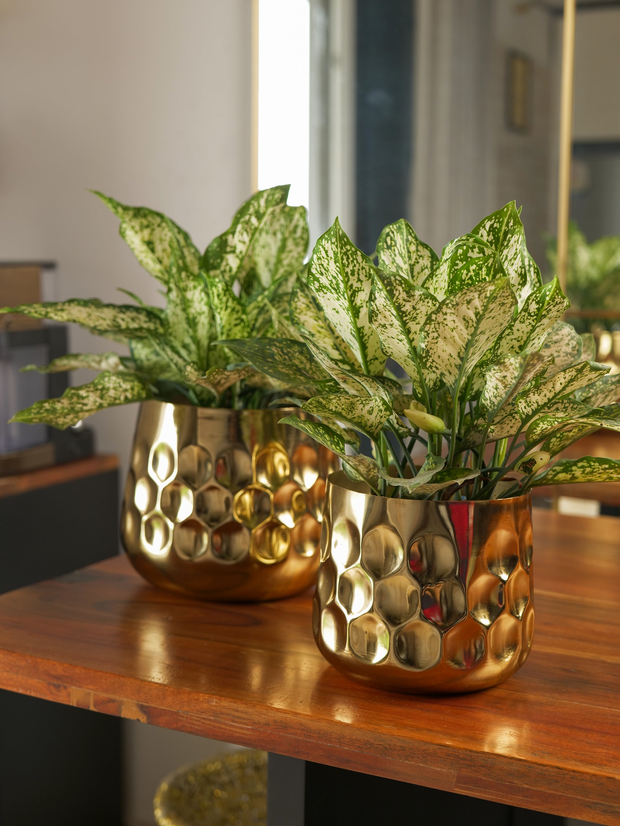 Curve Vase